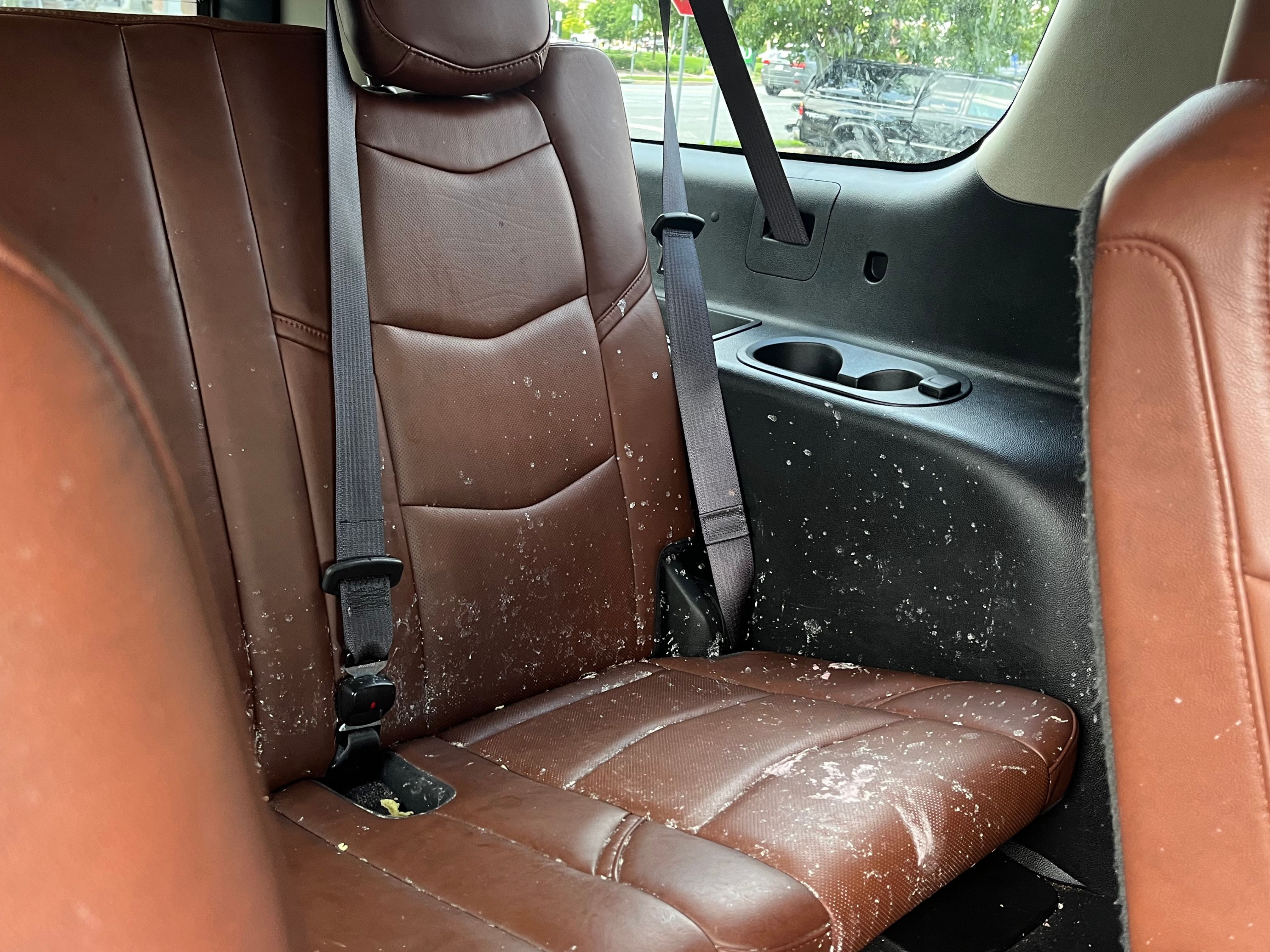 Tree debris and sap scattered across leather seats before detailing